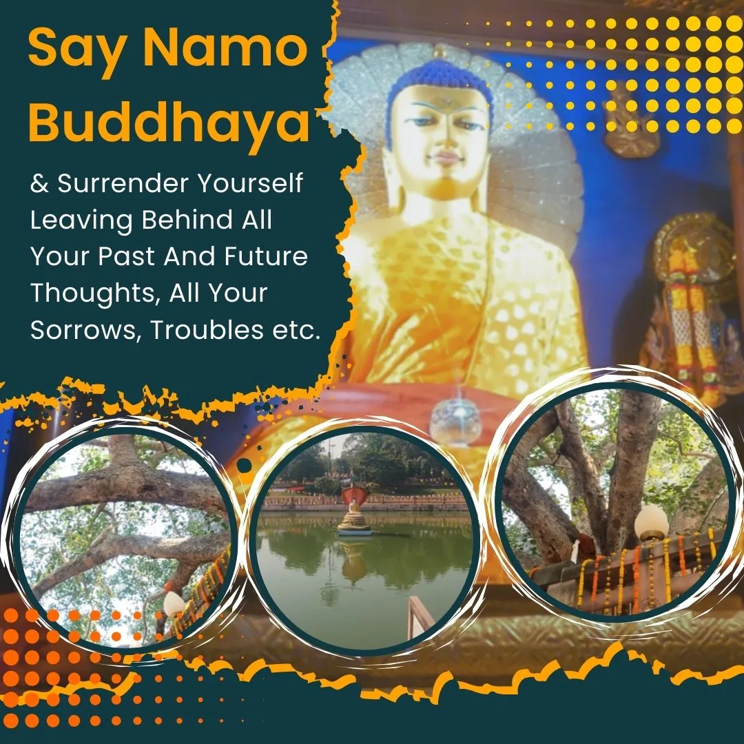 The Statue of Lord Buddha & Bodhi Tree