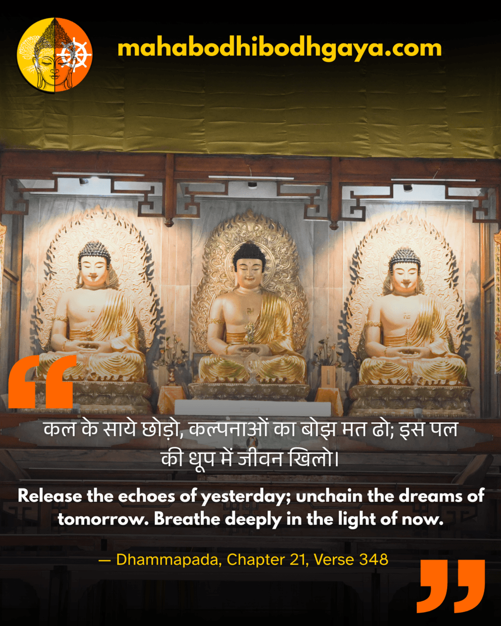 post 5 कल के साये छोड़ो, कल्पनाओं का बोझ मत ढो। इस पल की धूप में जीवन खिलो।