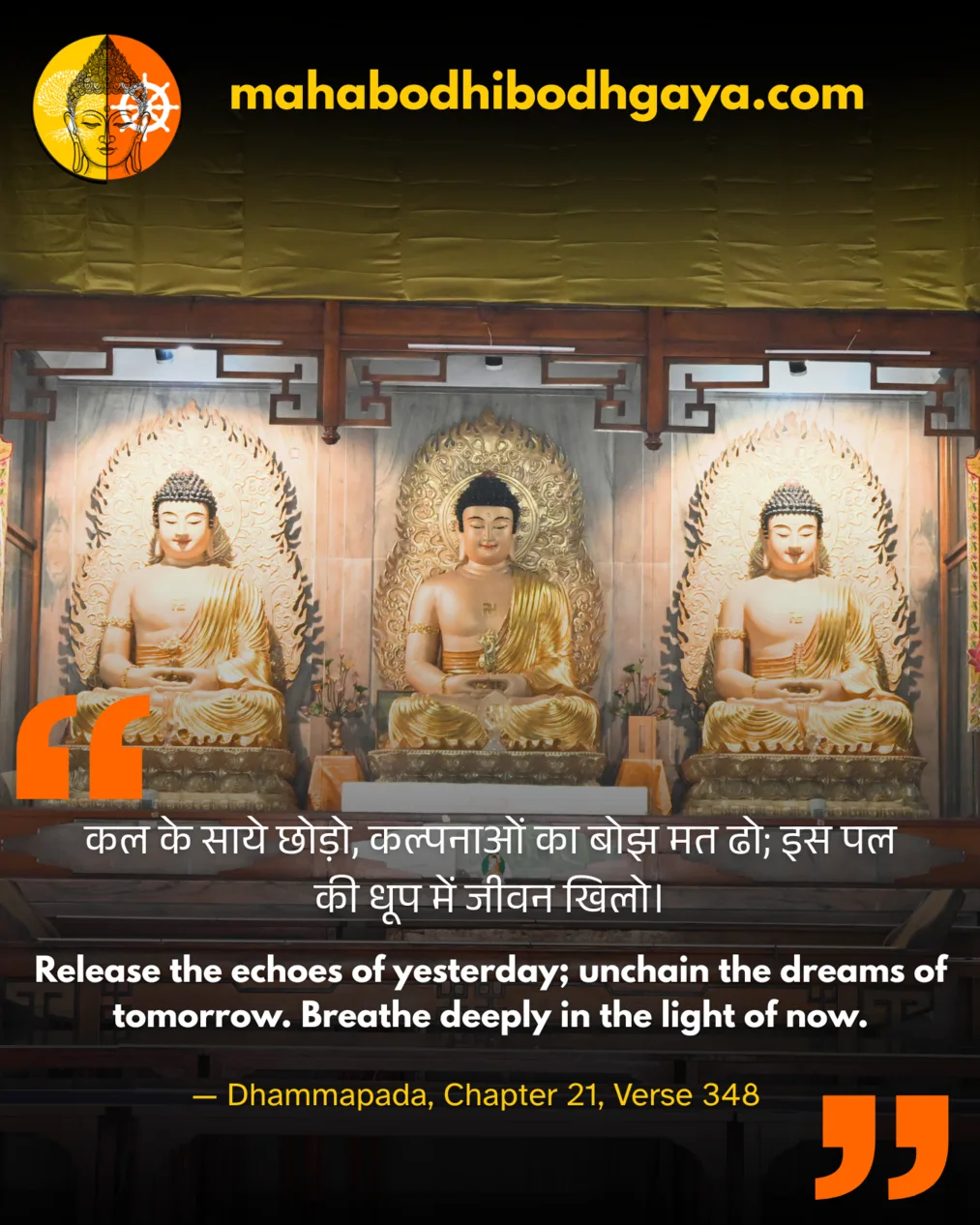 post 5 कल के साये छोड़ो, कल्पनाओं का बोझ मत ढो। इस पल की धूप में जीवन खिलो।